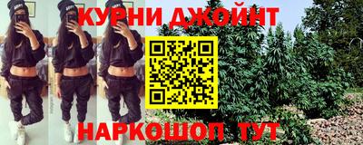 дмт Аша