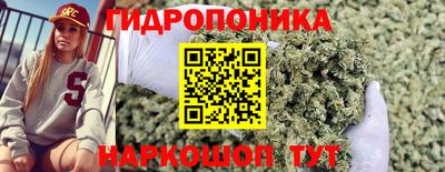 бошки Ачхой-Мартан