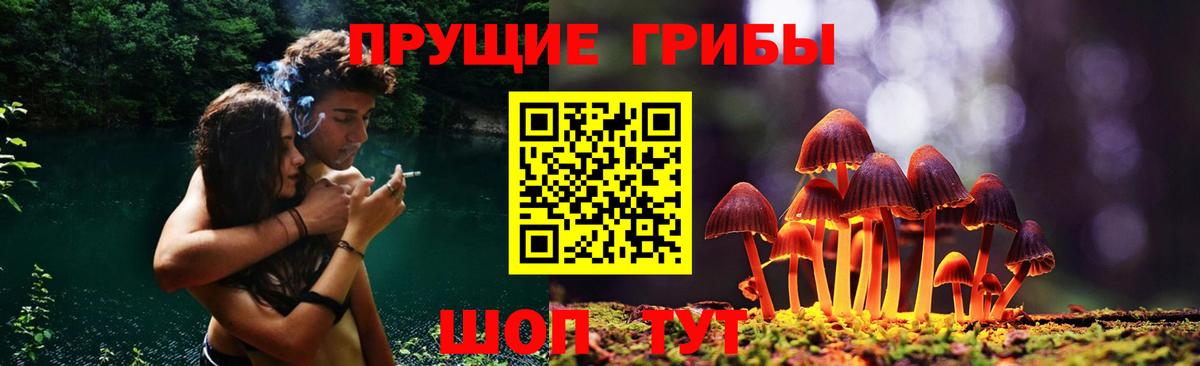 Гудермес  Галлюциногенные грибы Psilocybine cubensis  Галлюциногенные грибы мухоморы  Вход с VPN 